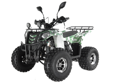 Квадроцикл детский Wels (Велс) Thunder EVO X 125 (машинокомплект)